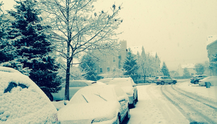 雪柳镇最新疫情：安全与健康并行