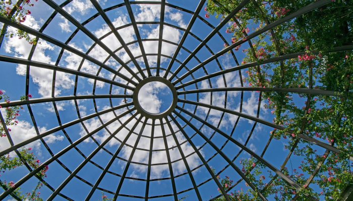 伦敦网上最新疫情:全面解析与未来展望 伦敦网上最新疫情:全面解析与未来展望