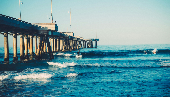 蒲城最新疫情政策电话：您的健康守护者