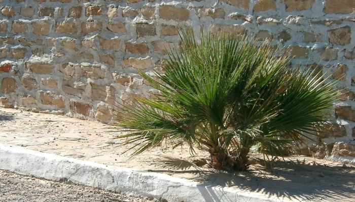 淄博沂原疫情最新情况：从防控到生活恢复