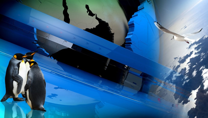 福州闽东疫情最新通报：细致解读与未来展望