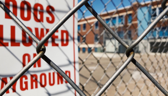 泽达学校最新疫情:安全与教育并重的深刻探讨 泽达学校最新疫情:安全与教育并重的深刻探讨