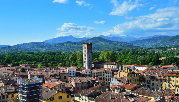 最新疫情大康县:重启与希望 最新疫情大康县:重启与希望