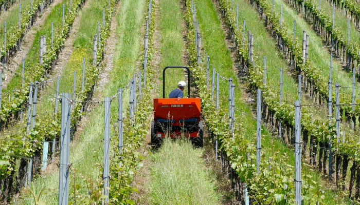 福建最新确诊疫情：防控措施与健康生活指南