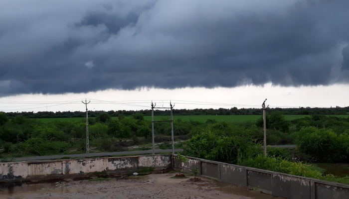 广州珠海最新疫情：让我们共同面对挑战，携手抗疫