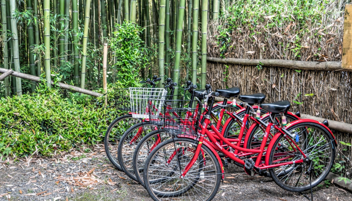 民宿疫情最新通报图片：重温安全旅行，重拾信心