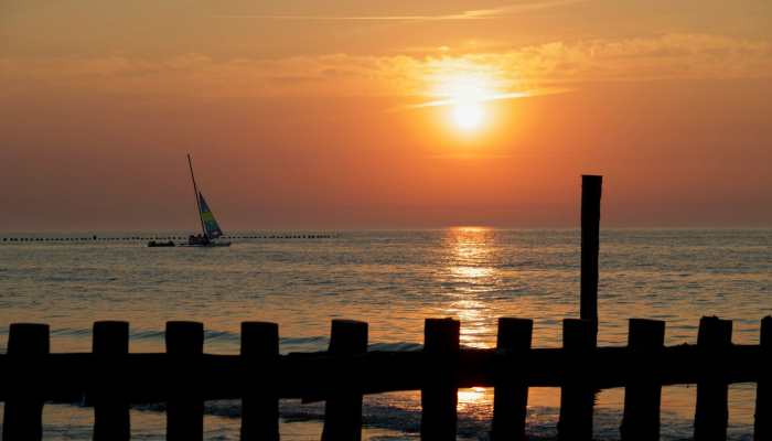 最新疫情前十名国家：全球健康危机中的全球视角