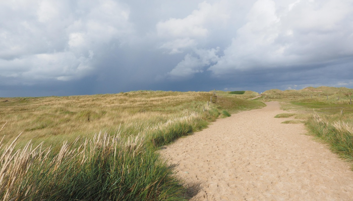 最新江苏疫情规定：全面解读与防护指南